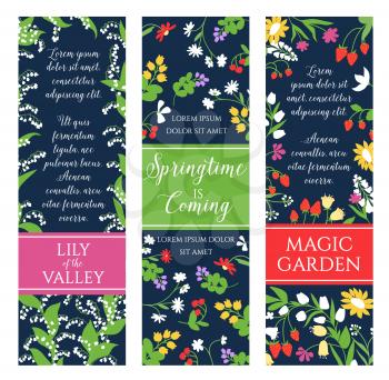 Spring flowers vector banners for springtime holiday greetings. Design of garden lily of valley bunches, tulips blossoms or flourish daisy petals and blooming daffodils bouquets with strawberry and ra