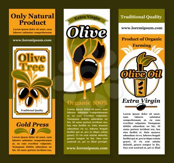 Olive oil product banners set with vector symbols of fresh black olives on branches with dripping extra virgin oil drops from bottles and jars. Design for natural organic cuisine and healthy cooking