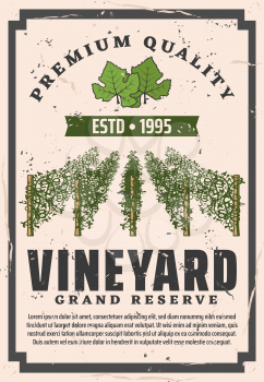 Winemaking house and wine grand reserve vintage poster or bottle label. Vector premium quality wine production factory, vineyard with grape leaf and ribbon in grunge old frame