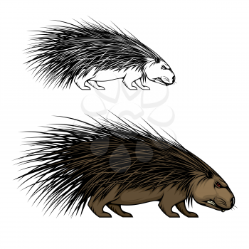 Porcupine or hedgehog animal vector mascot. Wild forest mammal with sharp spines or quills, brown fur and angry grin, predatory rodent icon of sport team, hunter club or European wildlife design