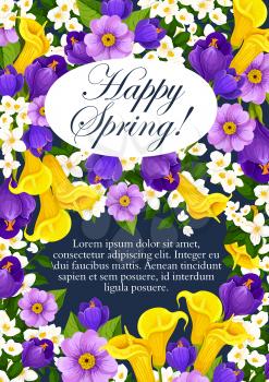 Happy Spring floral greeting card for springtime holiday and seasonal wishes. Vector design of calla lily and orchid or crocus flowers and springtime blooming daisy or tulips and violets