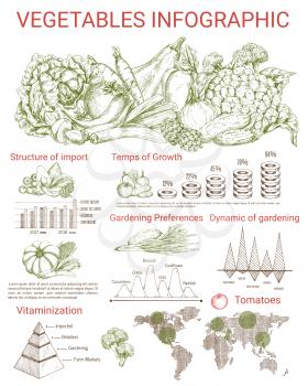 Vegetable infographics design. Graph and chart of gardening and agriculture preferences, tomato cultivation statistic map with carrot, broccoli, cabbage, onion, cucumber and pumpkin sketches