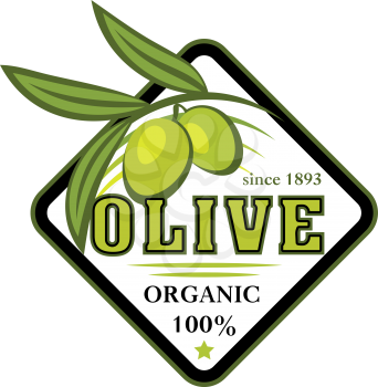 Green olive branch isolated icon. Natural organic olive fruit with leaf and tree branch for olive product symbol, extra virgin oil bottle label and mediterranean food themes design