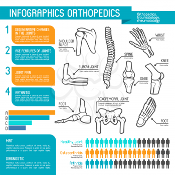 Orthopedics medicine infographic design. Joint and bone disease statistic graph and chart, human skeleton anatomy diagram with spine, foot and hand, knee, shoulder, elbow and pelvis body part