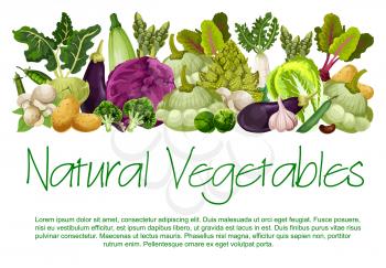 Vegetables and fresh organic veggies harvest of natural vegan farm food. Vector vegetarian cauliflower or broccoli and red cabbage, eggplant and green pea bean, garlic or mushroom and potato design