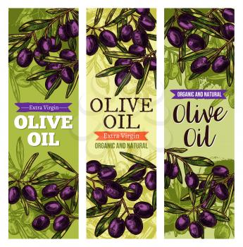 Black olives sketch banners for olive oil organic natural product. Vector design template of leaves and green olive fruits for olive oil extra virgin product or Italian or Spanish cuisine