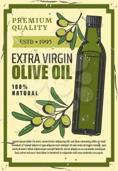 Olive oil extra virgin natural product retro poster. Vector cooking olive oil farming and agriculture production or Spanish, Greek Mediterranean and Italian cuisine salad ingredient