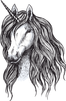 Unicorn horse sketch of magic animal with horn. Head of mythical unicorn or fairy horse with wavy mane. Mythology and fairytale hero for tattoo and t-shirt print design