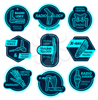 Orthopedics and traumatology icons of X-ray bones and joins for health center or radiology orthopedic clinic. Vector symbols of body joints and spine bones for corrective therapy and diagnostics