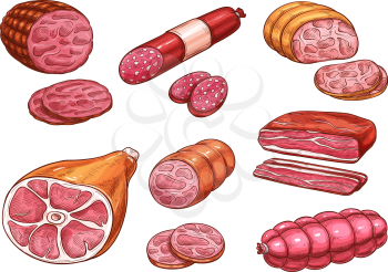 Sausage sketch set of beef and pork meat product. Ham, salami and bacon strip, smoked sausage, pepperoni and bologna, frankfurter, gammon and cured brisket icon for meat store and butcher shop design