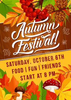 Autumn festival or fall holiday picnic invitation poster. Vector Vector design of autumn maple, rowan berry and maple leaf with oak acorn and pine cones or amanita mushroom for autumn season celebration