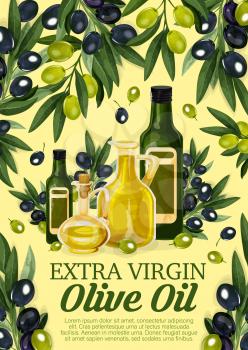 Olive oil natural organic food product promotion. Bottles of extra virgin oil, decorated with frame of olive tree branch with ripe black and green fruits, vector design