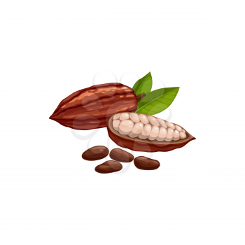Cocoa bean pod in stage of riping dried and fermented seed of Brazil or Indonesia fruit isolated icon. Vector coffee pods, chocolate cocoa beans superfood, healthy organic food product, green leaves