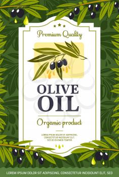 Olive oil organic natural product, frame, green leaves and black fruits. Vector extra virgin olive oil packaging label. Mediterenian, Italy, Greece or Spain cuisine food, olive-tree branches