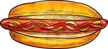 Hotdog sketch isolated bun and sausage with ketchup. Vector fastfood hot dog with frankfurter