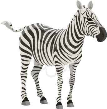Zebra wild animal vector isolated icon. African safari zoo and savanna hunt trophy zebra