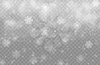 Winter snowfall background with ornamental snowflakes. Christmas or New Year holidays monochrome backdrop with different size and shape snowflakes falling on transparent vector background