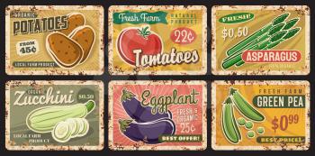 Farm vegetables rusty plates with vector veggie food and beans. Fresh tomato, zucchini, potato and eggplant, green pea and asparagus vintage tin signs and old metal signboards, farm market design