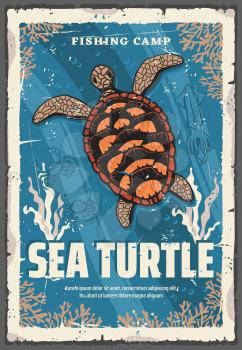 Vector sea turtle, underwater animal in deep sea waters among coral reefs. Turtle with brown carapace