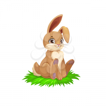 Easter bunny or rabbit on grass, religion holiday egg hunt vector theme. Brown bunny with cute ears and tail sitting on green grass, Easter egghunting, Christian Resurrection celebration