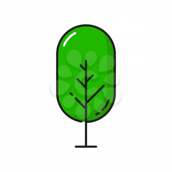 Cartoon green tree environment protection, save Earth, natural plant isolated thin line icon. Vector spring summer forest tree, park garden plant, forest scenery landscape architecture outline object