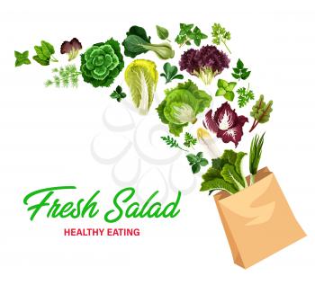Greenery salads and fresh greens, vector lettuces in shopping bag. Arugula, chicory and spinach, watercress, collard and mangold leaf salads, farm garden cilantro and romanesco vegetables raw food