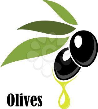 Ripe black olives on a leafy twig with dripping olive oil and the word - Olives - below, isolated on white