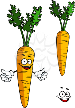 Happy cartoon carrot character with a smiling goofy face and waving arms with a second plain carrot, vector illustration on white