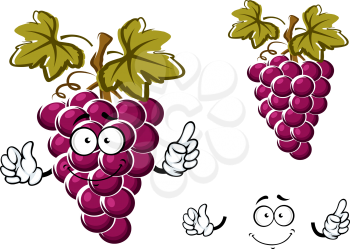 Ripe purple grape fruit cartoon character with round juicy berries, curly tendril and dark green leaves for fresh food or agriculture design