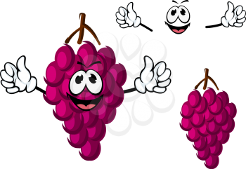 Funny cartoon bunch of juicy purple grape fruit character giving thumbs up, for agriculture or food theme concept