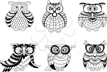 Black and white outline silhouettes of cute little owls with different shapes, plumage and eyes. Vector illustration