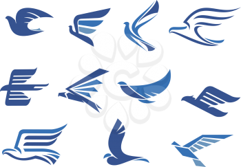 Flying blue birds as eagle, hawk, falcon and dove in flight. For business, delivery, transportation or travel design