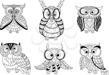 Cartoon colorless forest owls and funny owlets with decorative feathers. Animal characters for children book, education mascot, Halloween design. Outline style