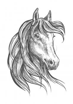 Engraving sketch of gorgeous and graceful arabian stallion head symbol with long wavy forelock. Great for equestrian sporting competition or horse breeding themes design