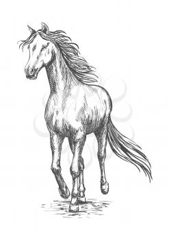 Running white horse pencil sketch. Vector galloping mustang stallion rushing against wind
