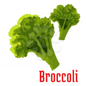 Healthy organic green broccoli vegetable icon. Vegetarian menu, diet food, agriculture harvest and farm market design