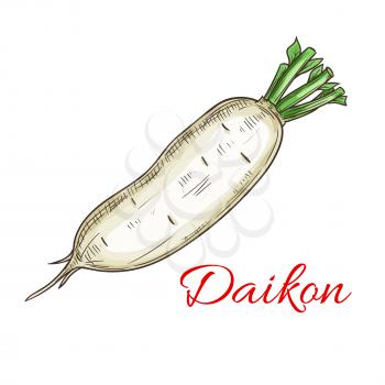 Daikon vegetable icon. Isolated daikon radish root. Vegetarian fresh food product sign for sticker, grocery shop, farm store element