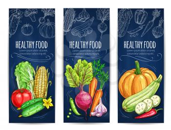 Vegetables. Vegetarian banners with chalk sketch cabbage, tomato, cucumber, corn, beet, pumpkin and pea, garlic and pepper on blackboard. Vegan menu card design