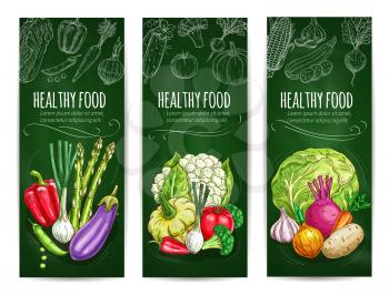 Vegetarian banners set with chalk sketched healthy vegetables food on chalkboard. Vector cabbage, cucumber, tomato and eggplant, kohlrabi, onion and corn