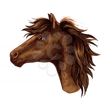 Brown arabian horse animal head. Beautiful young foal with kind eyes and spiky mane. Wild mustang stallion sketch portrait