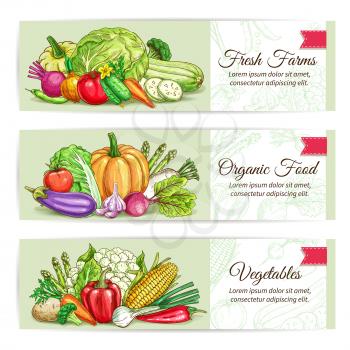 Fresh vegetables banner set. Organic farm veggies label with tomato, carrot, pepper, onion, chilli, broccoli, eggplant, potato, garlic, beet, cabbage, pumpkin. Food packaging, farm market design
