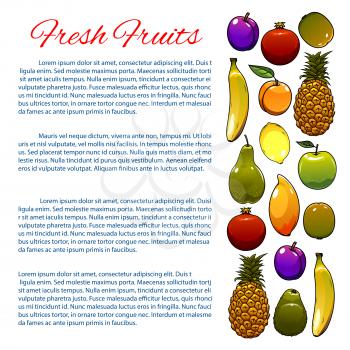 Fruit or vitamin food poster design. Fresh plum and banana, kiwi and pineapple, apricot and apple, pomegranate or garnet, citrus lemon and pear, Perfect for summer nutrition banner or healthy sweet de