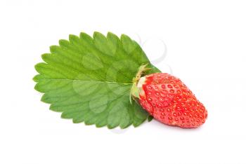 Fresh strawberry fruit with green leaves 