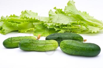 Royalty Free Photo of Cucumbers and Lettuce