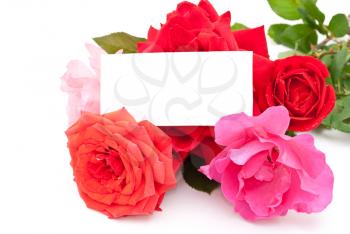 Royalty Free Photo of Roses With a Card
