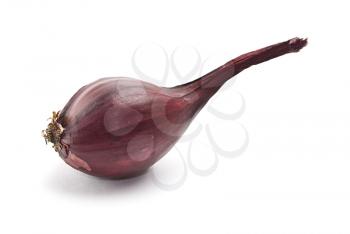 Royalty Free Photo of a Red Onion