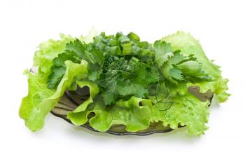 Royalty Free Photo of Lettuce Leaves