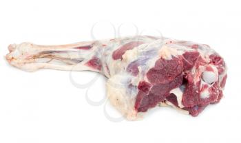 Raw lamb leg 