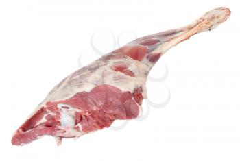 Raw lamb leg