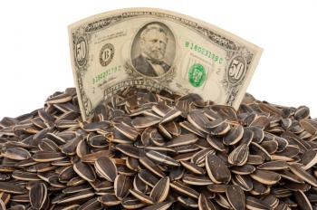 Sunflower seeds and dollars